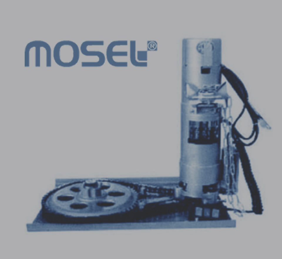 alusel elekto motori
